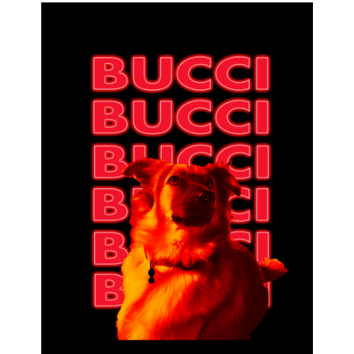 Bucci Edit